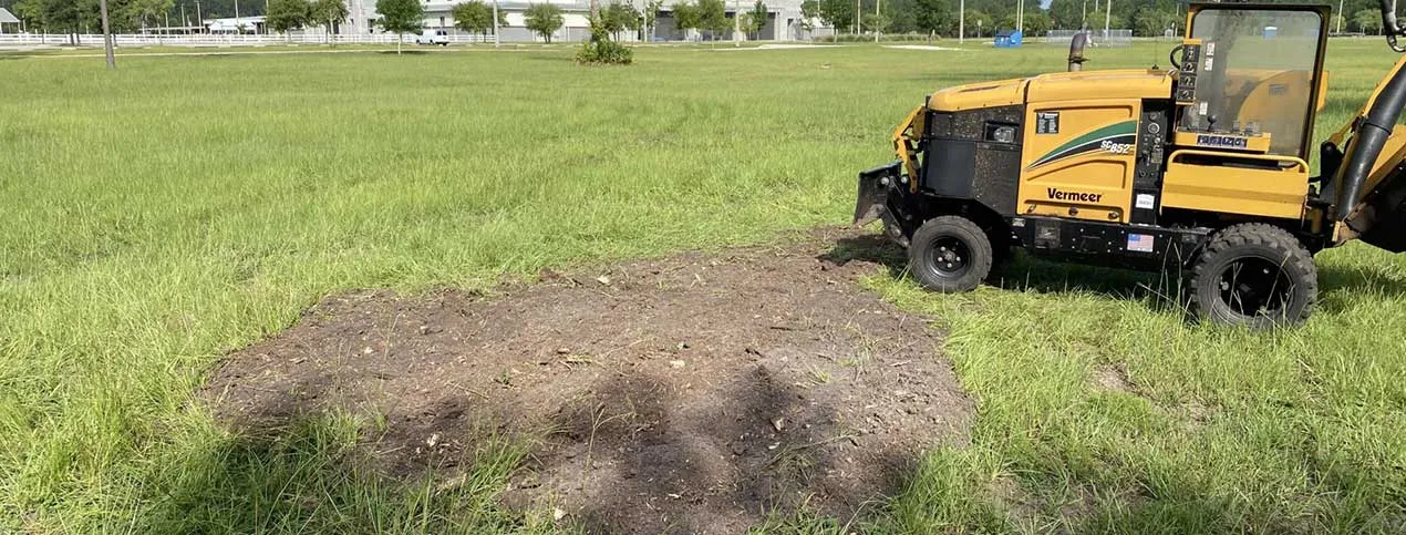 Stump Grinding Jacksonville FL
