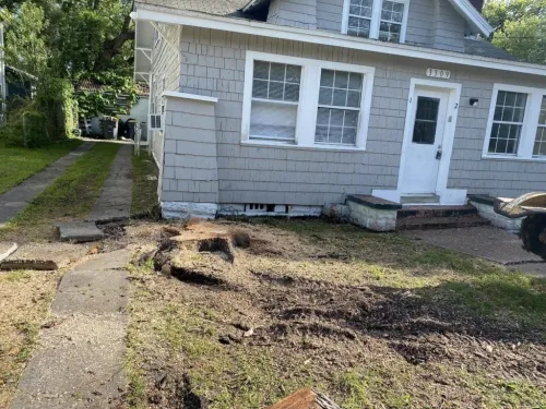 Stump Grinding Estimate Consultation