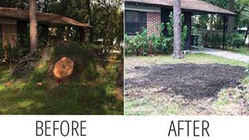 Stump Grinding Tips Featured