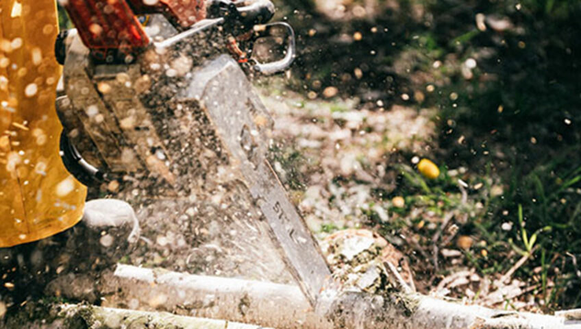 Safeguard Your Surroundings: Stump Grinding Safety Precautions to Know