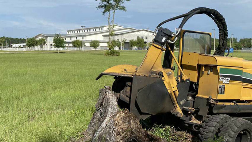 What to expect during the stump grinding process?