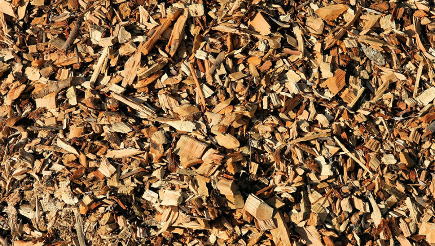 Harnessing the Remnants: Sustainable Ways to Dispose of Stump Grinding Wood Chips