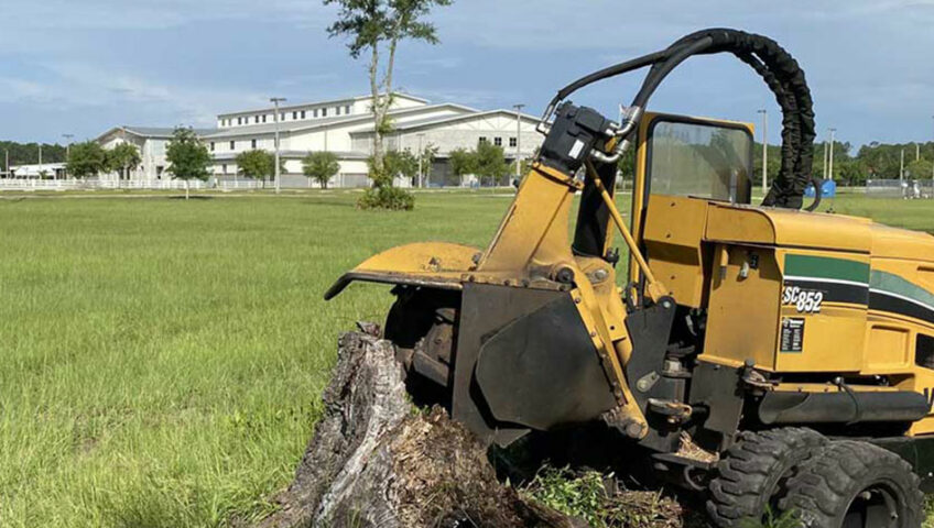 Stump grinding and stump removal have their advantages and disadvantages. Knowing what works best in each situation enables you to choose wisely given your needs.