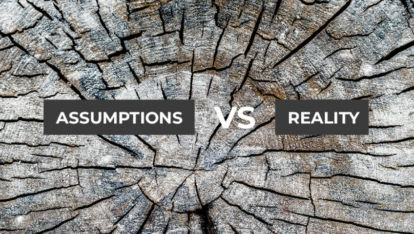 Unearthing the Truth: Stump Grinding Assumptions vs Reality