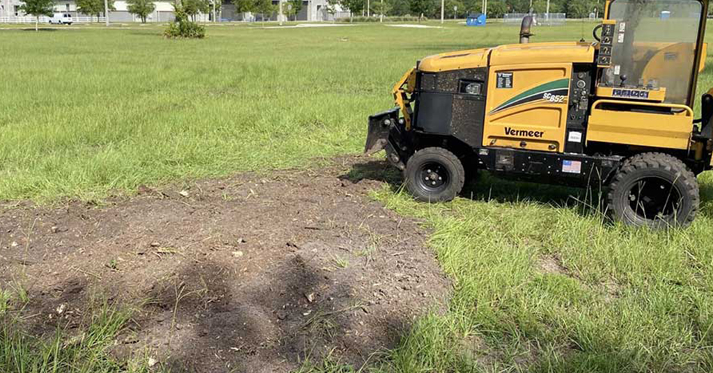 Going the Extra Mile: Discovering the Advantages of Stump Grinding